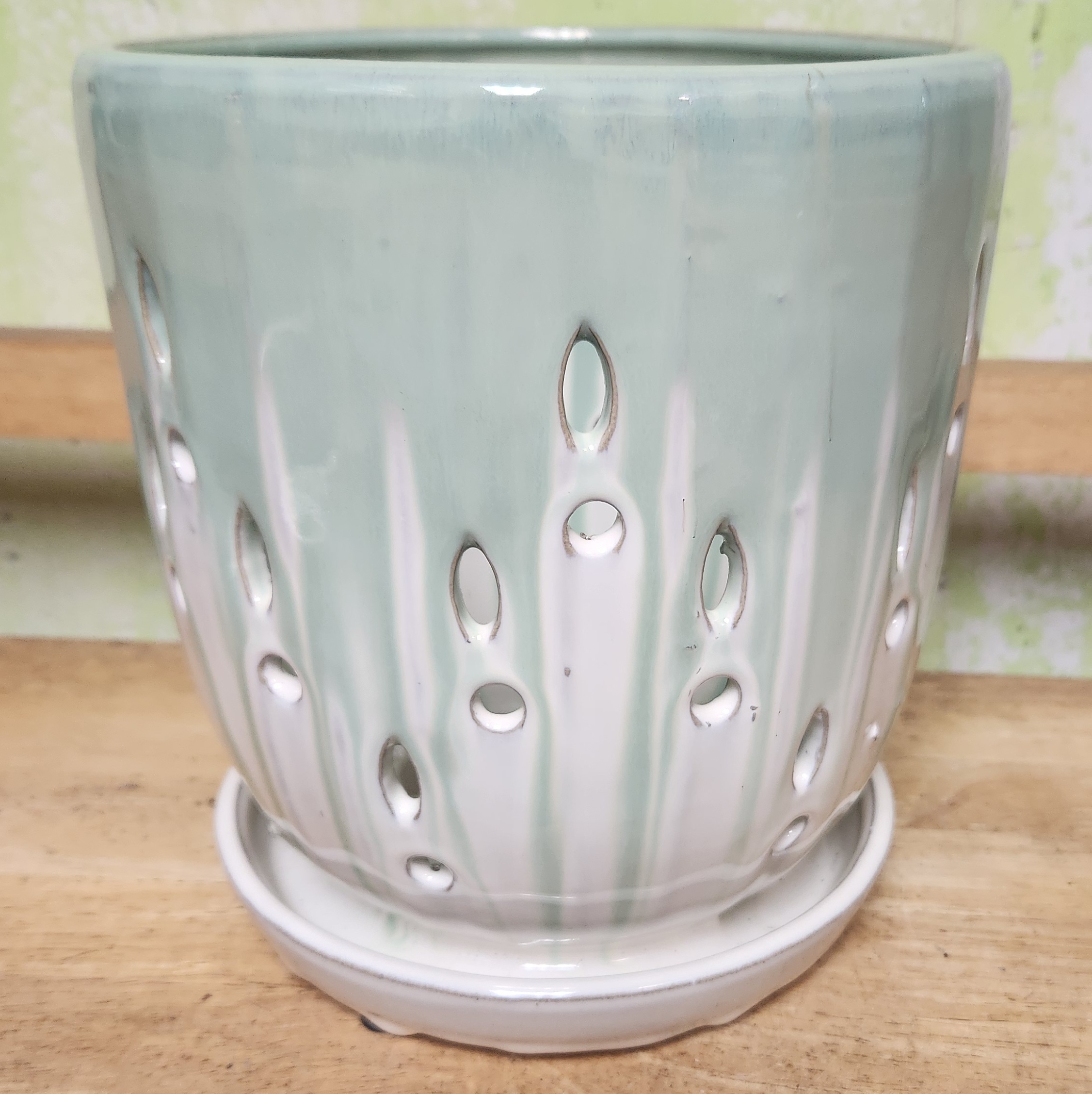 O-LOTUS3 Glacial Green/cotton 7" x 8" high