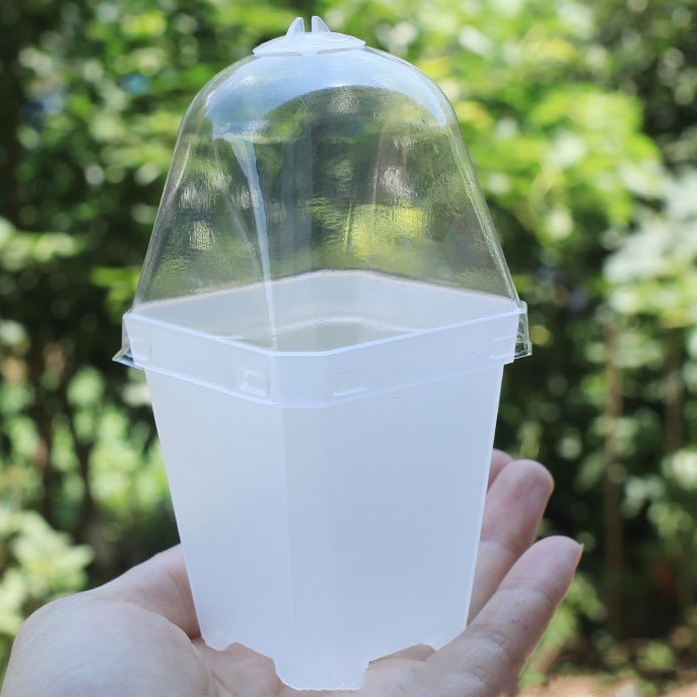 4" Square Plastic with Humidty Dome