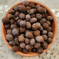 Expanded Clay Balls (affordable alternative to Hydroton) 24 cup bag