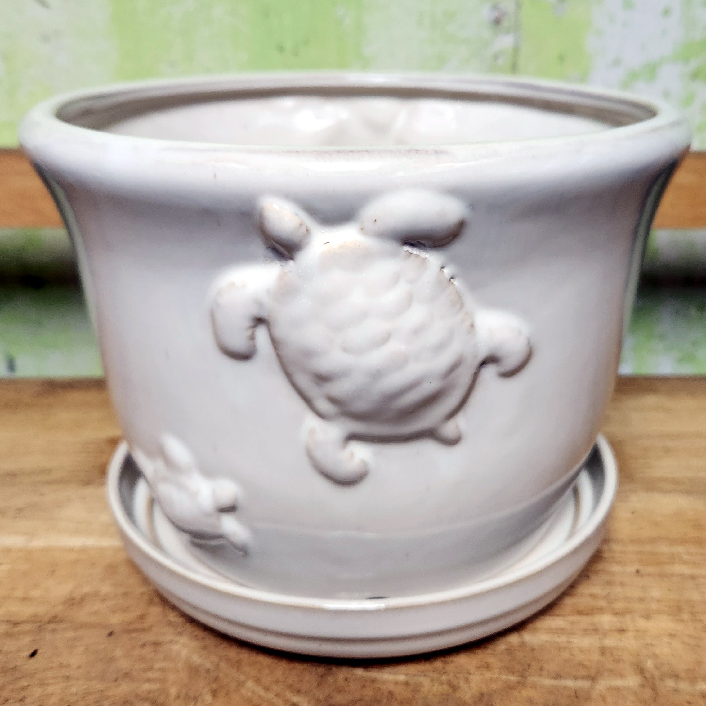 B-LOTUS3 Turtle Nature Pot cream 8" x 6" high