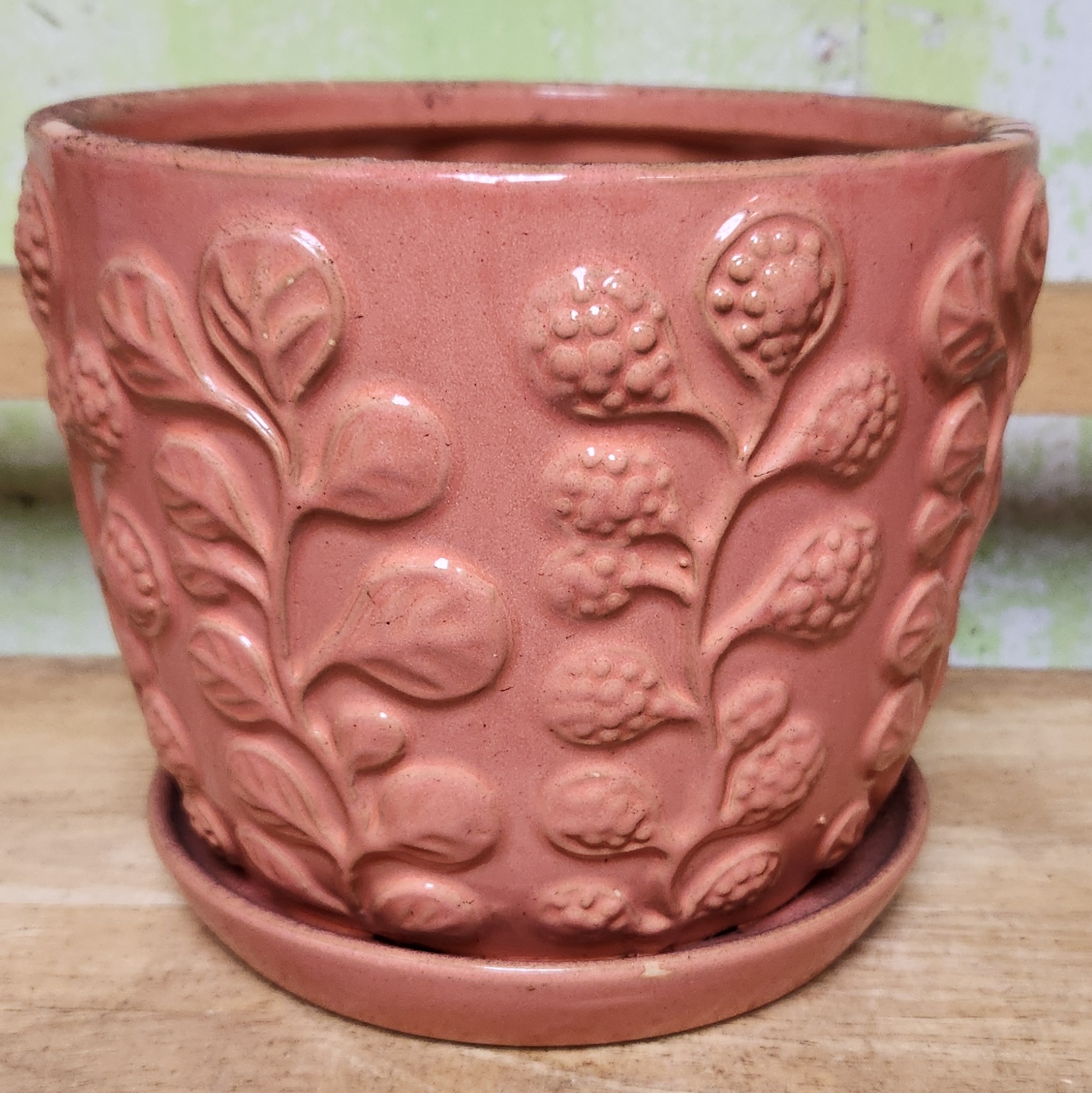 B-LOTUS8 Living Coral 7.75" high x 6.75" high