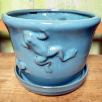 B-LOTUS5 Frog Nature Pot 8" x 6" high