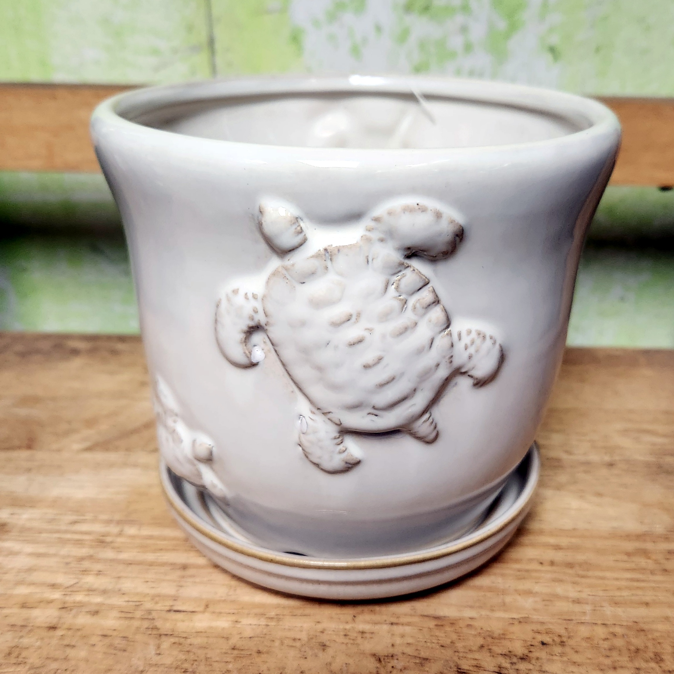 B-LOTUS3A  Turtle Nature Pot cream 5.5" x 4.75" high