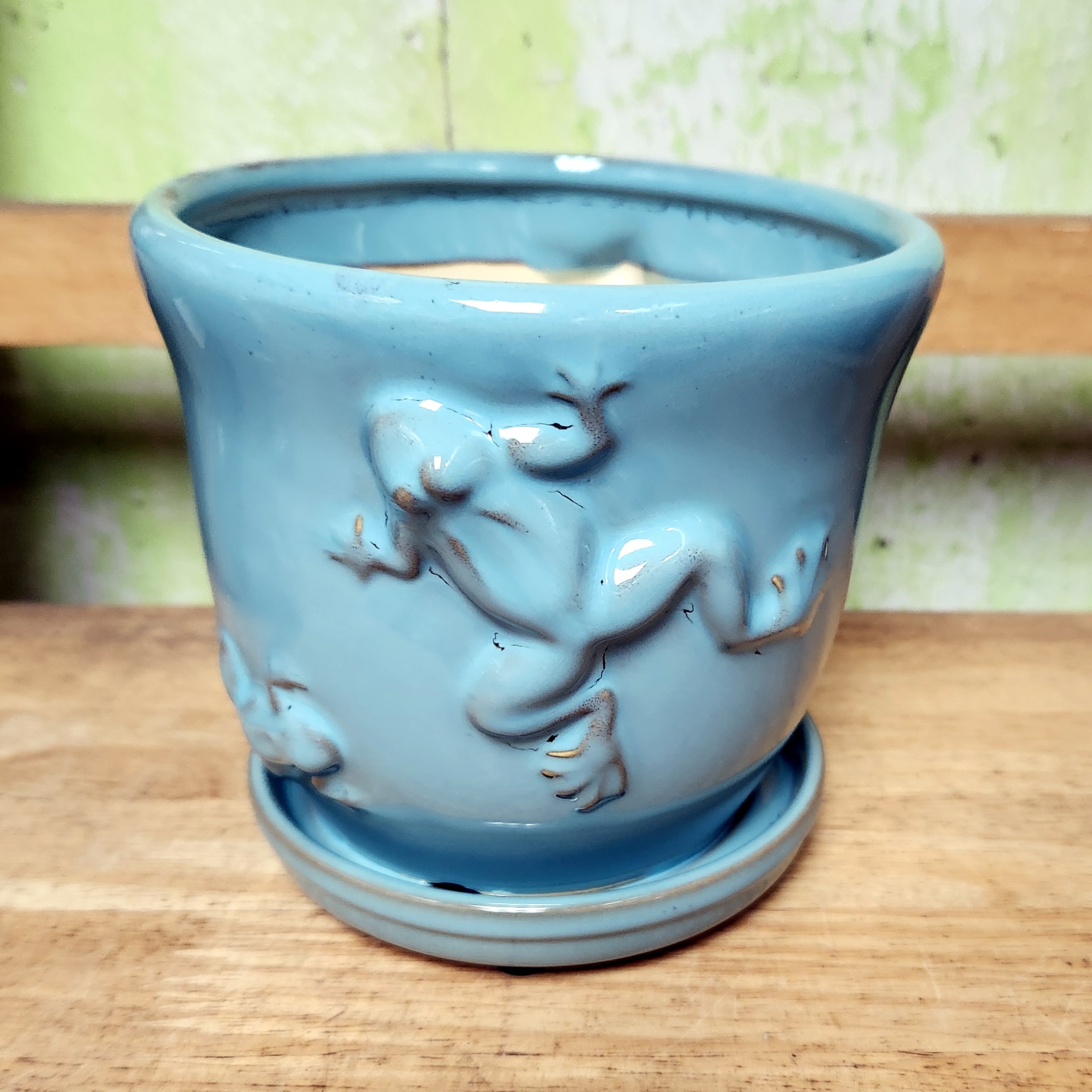 B-LOTUS5A Frog Nature Pot teal, 5.5" x 4.75" high