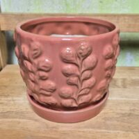 B-Lotus8A  Living Coral 5" x 5" high