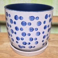 C-Lotus15 Blue and white circles 8" x 7" high