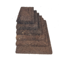 Tree Fern Plaque 10" x 5" x 1"