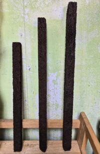 Tree Fern Totem 18" x 1" x 1"