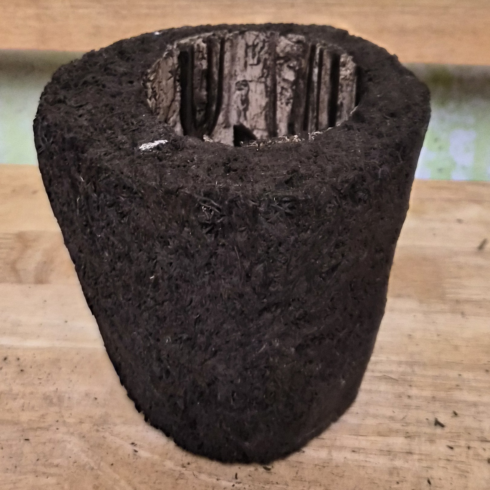 Tree Fern Pot 5" across, 4" high, 3" across bottom